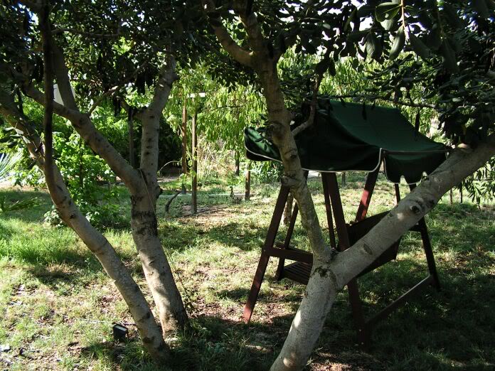 PICT0077.jpg