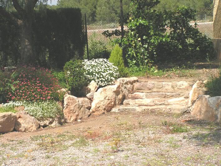 PICT0077.jpg