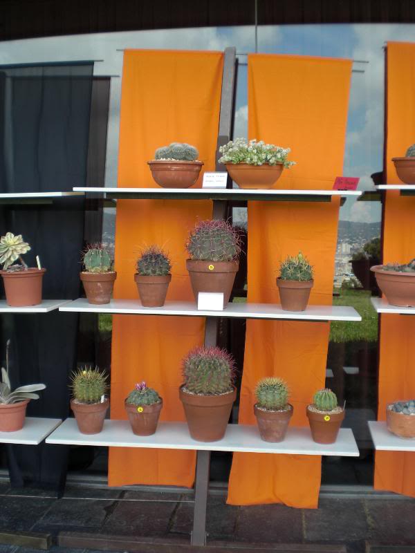 PICT0079.jpg