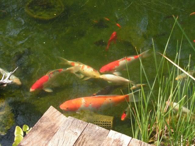PICT0079.jpg