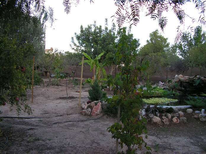PICT0080.jpg