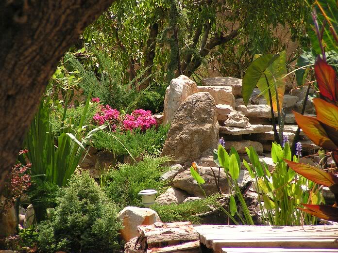 PICT0080.jpg
