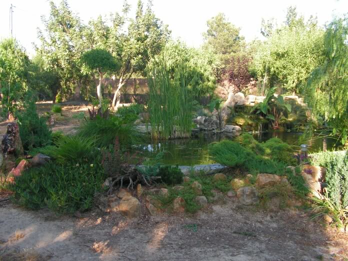 PICT0082.jpg