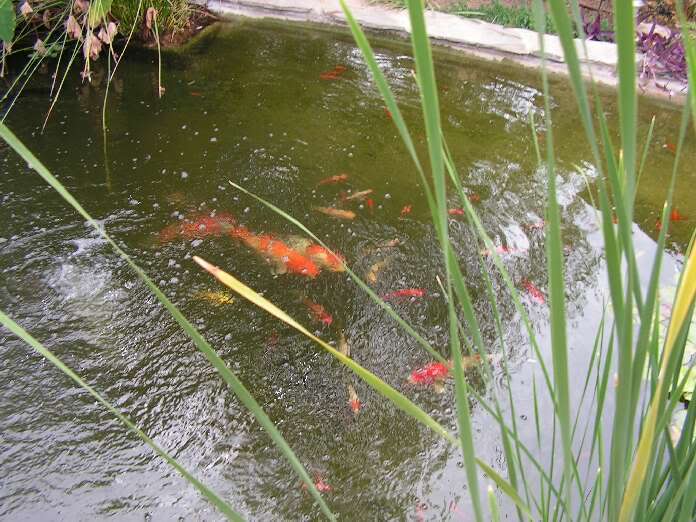 PICT0082.jpg