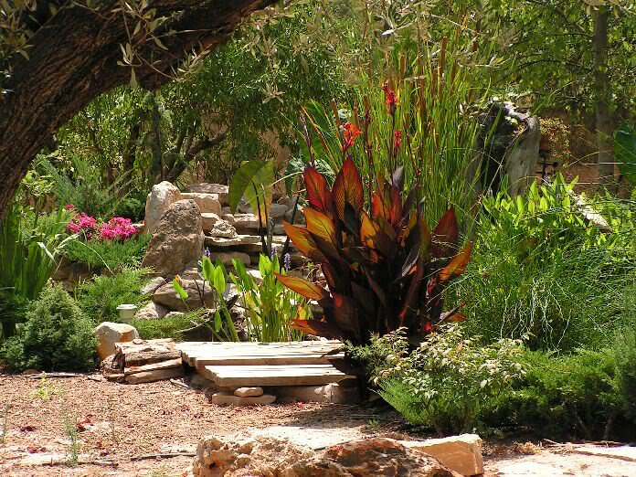 PICT0082.jpg