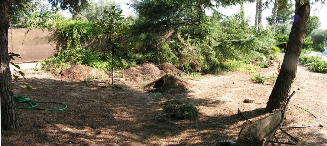 PICT0084-86.jpg