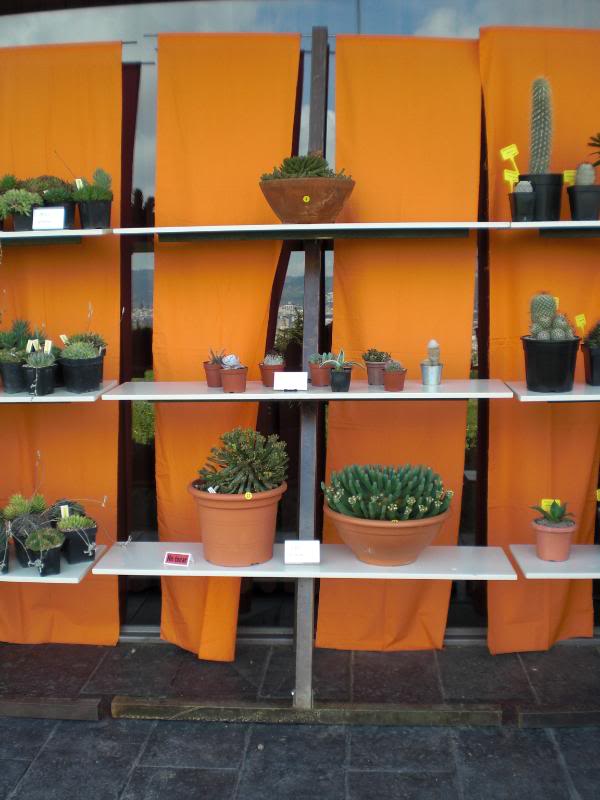 PICT0084.jpg