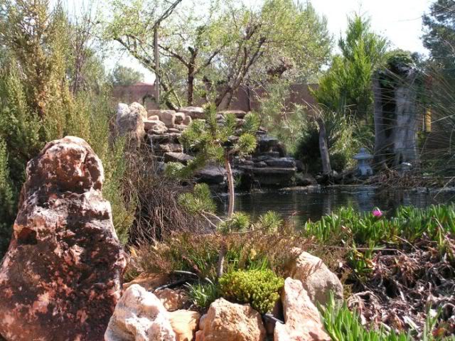 PICT0084.jpg