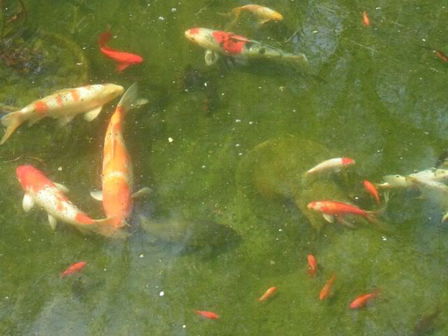 PICT0084.jpg