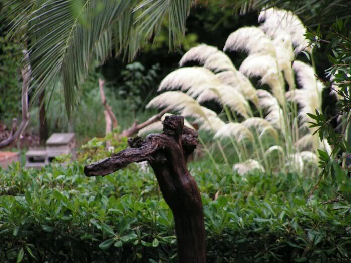 PICT0085.jpg