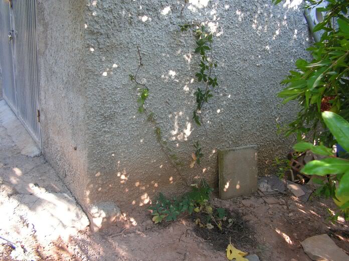 PICT0085.jpg