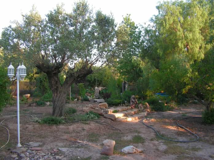 PICT0086.jpg