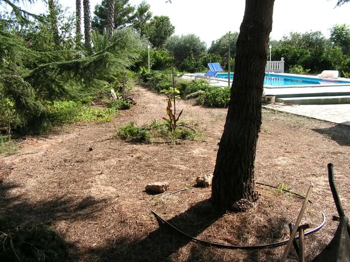 PICT0086.jpg