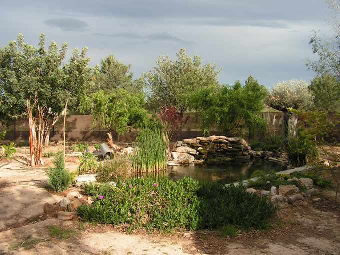 PICT0087.jpg