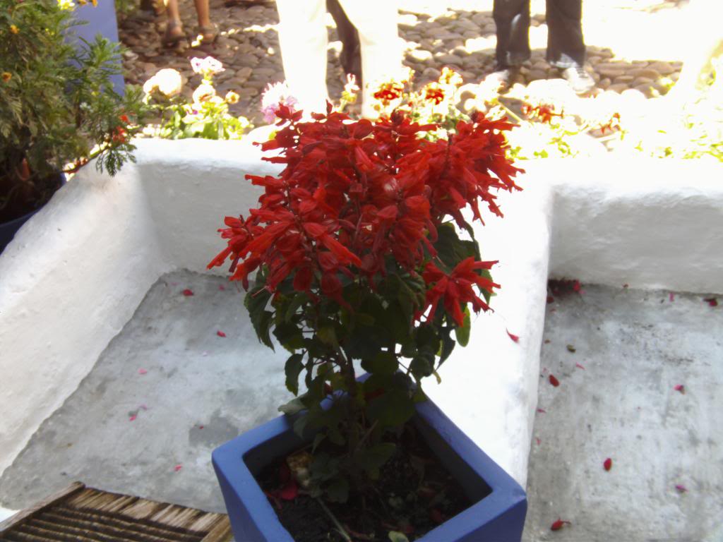 PICT0087_zps654e7f58.jpg
