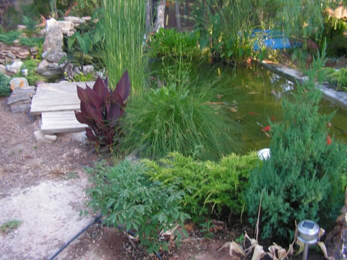 PICT0088.jpg
