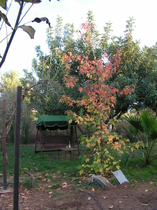 PICT0088.jpg