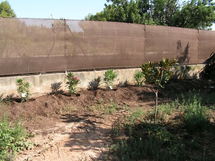 PICT0090.jpg