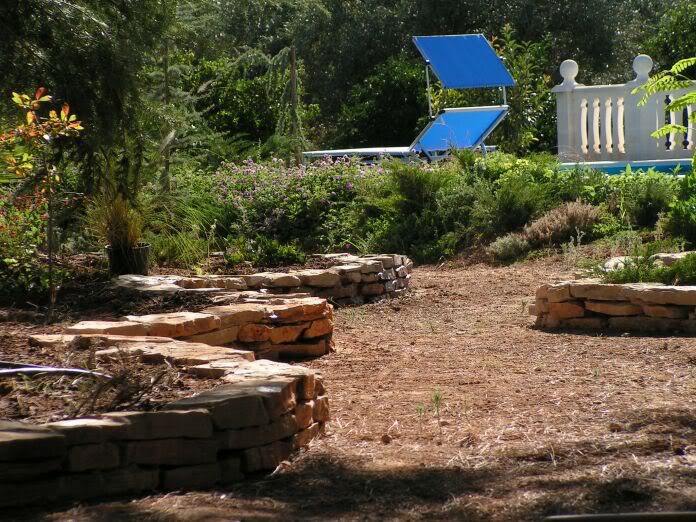 PICT0090.jpg