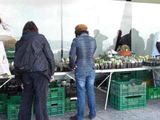 PICT0091.jpg