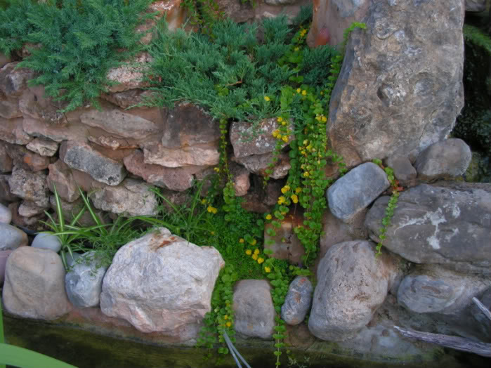 PICT0091.jpg