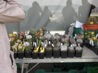 PICT0092.jpg