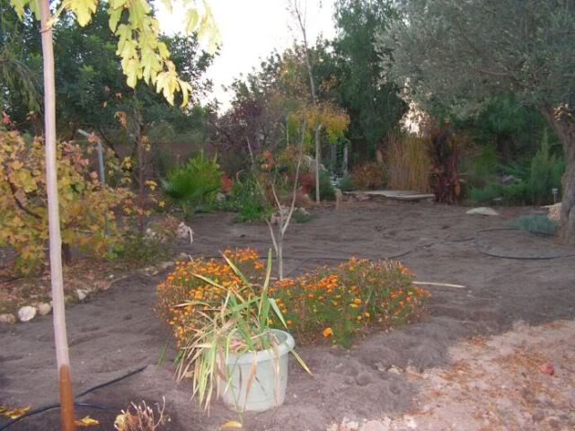 PICT0093.jpg