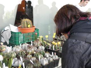 PICT0094.jpg