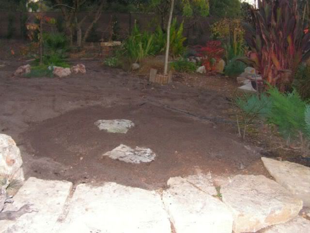 PICT0097.jpg