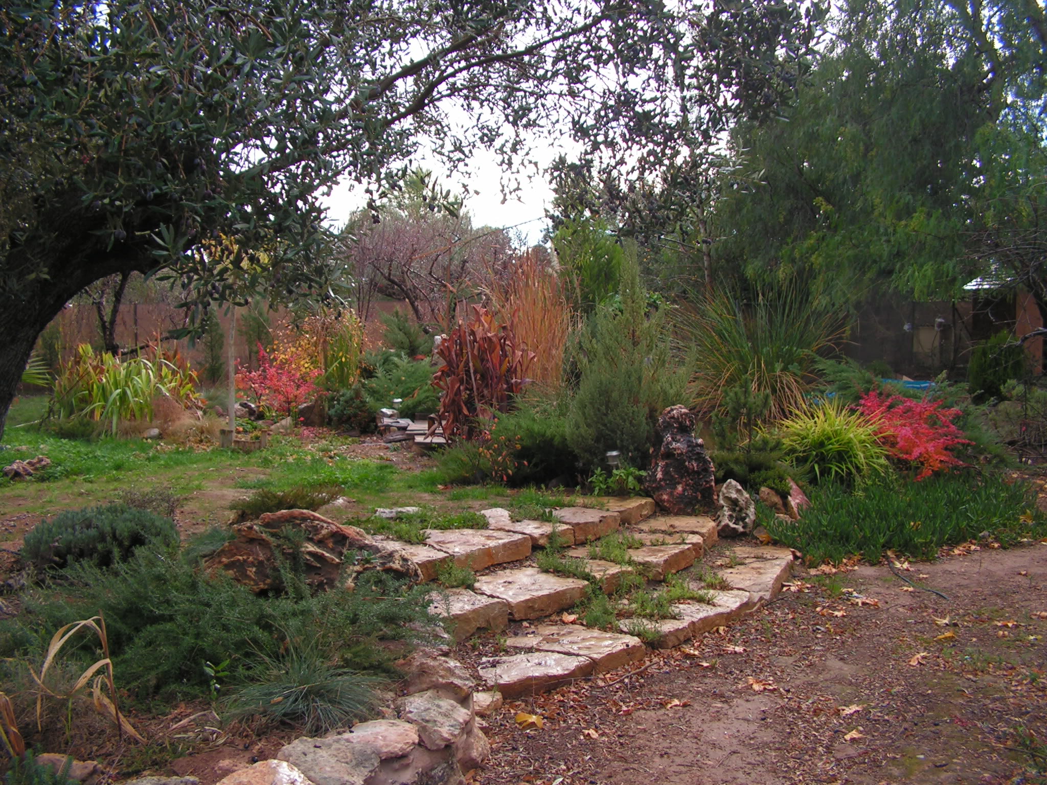 PICT0097.jpg