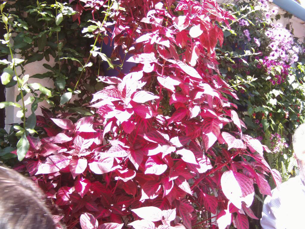 PICT0097_zpsdfde7d5d.jpg