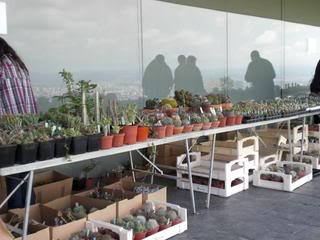 PICT0099.jpg