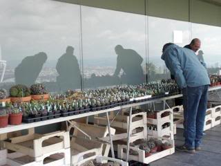 PICT0100.jpg