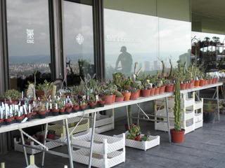 PICT0103.jpg