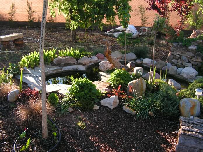 PICT0105.jpg