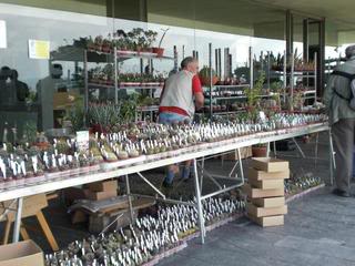 PICT0105.jpg