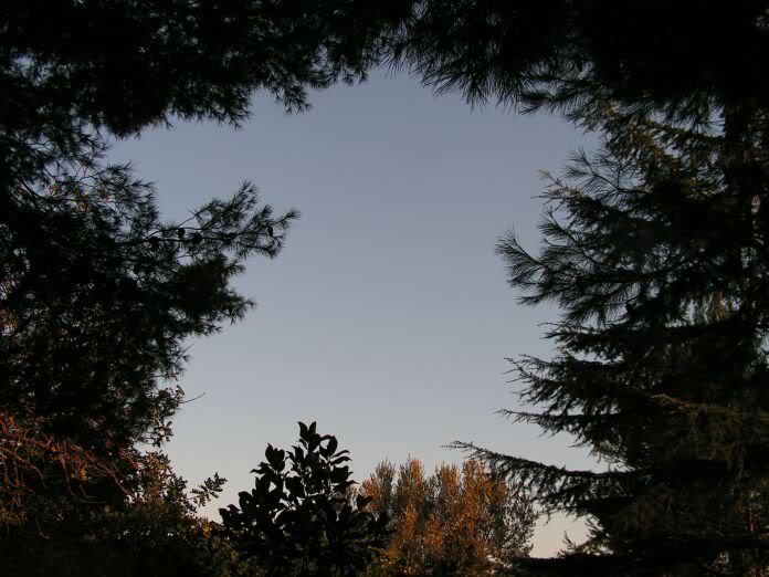 PICT0105.jpg