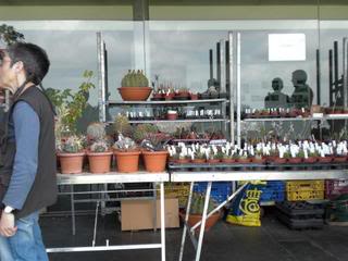 PICT0106.jpg