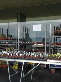 PICT0107.jpg