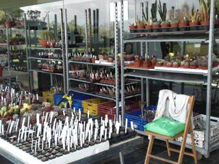 PICT0108.jpg