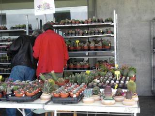 PICT0111.jpg