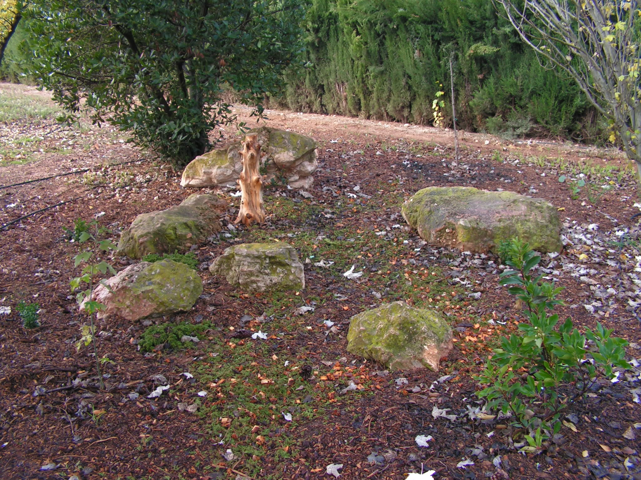 PICT0113.jpg