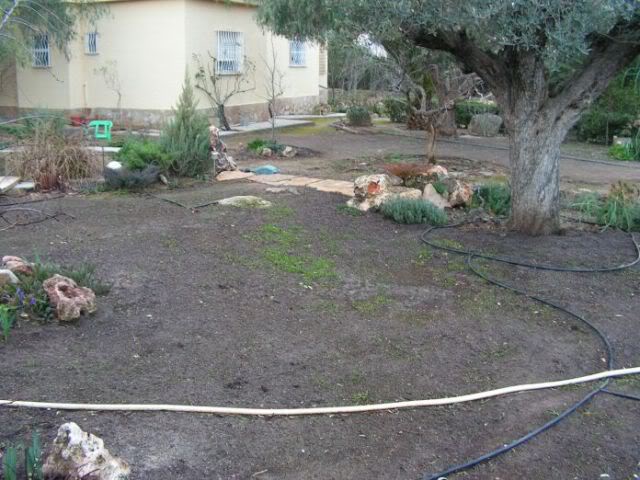 PICT0114.jpg