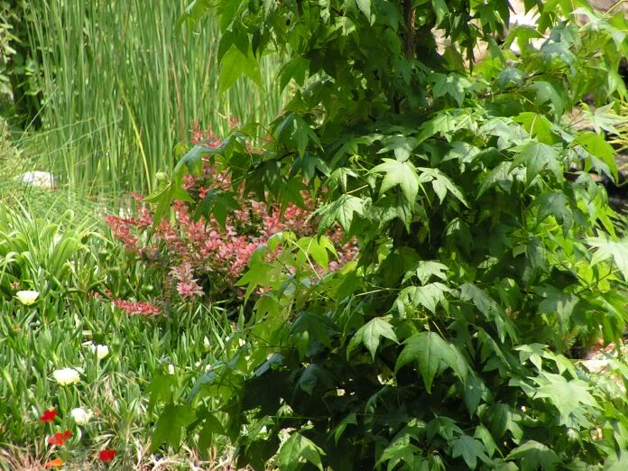 PICT0114.jpg