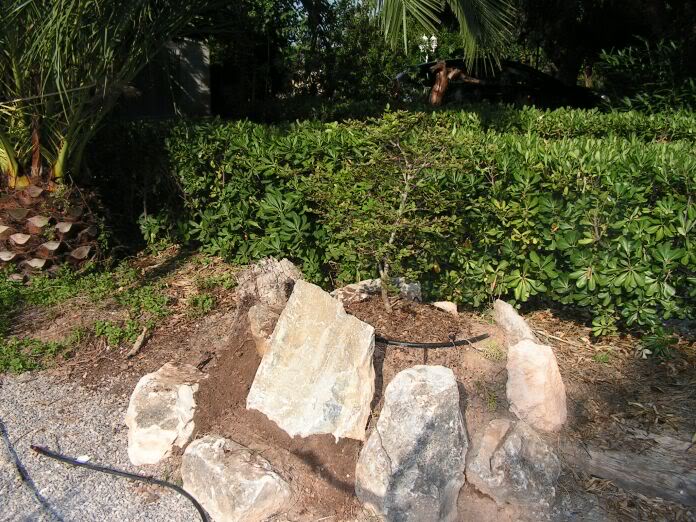 PICT0116.jpg