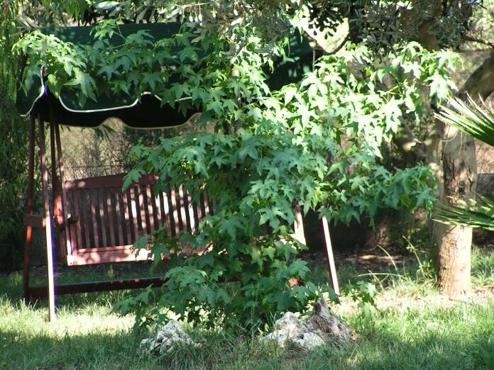 PICT0117.jpg