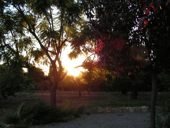 PICT0119.jpg