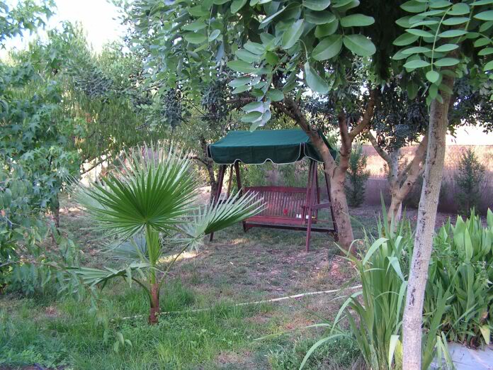 PICT0120.jpg