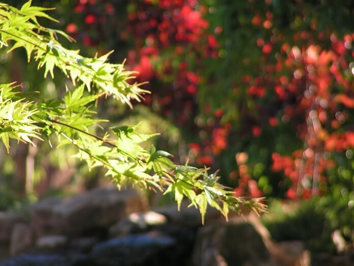 PICT0121.jpg