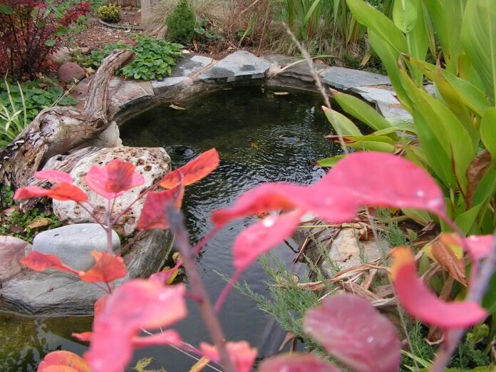 PICT0128.jpg